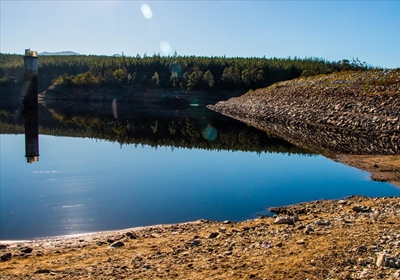Garden Route Dam level update
