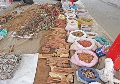 Today is African Traditional Medicine Day