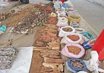 Today is African Traditional Medicine Day