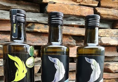 De Rustica gets tripple gold