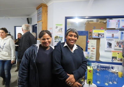Success of mass sterilisation celebrated