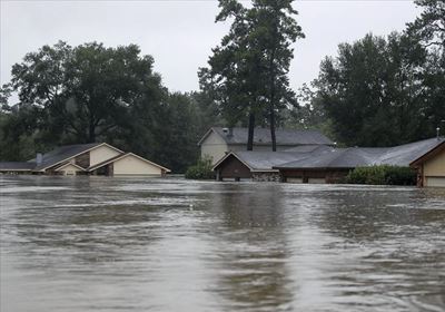 Houston floods: Night curfew bid to stop robbery and looting
