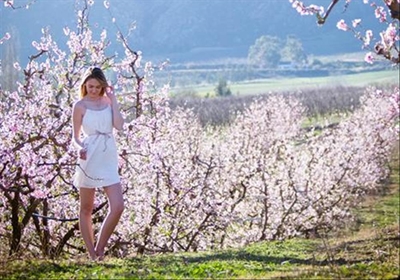Spring splendour in Little Karoo