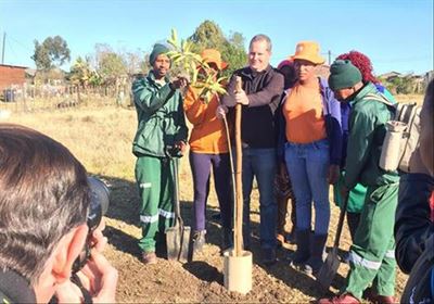 Greening Kurland with indigenous trees