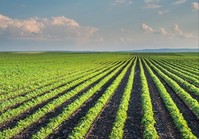 SA’s top ranking in African food trade not assured