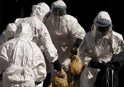 Highly Pathogenic Avian Flu outbreak in SA