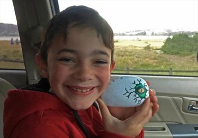 Painted pebbles spread love after fires