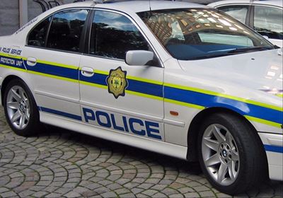 Second fatal dog attack this month