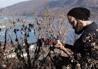 Local's song raises funds for fire victims