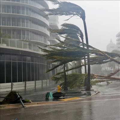 Hurricane Irma: Florida launches huge relief operation
