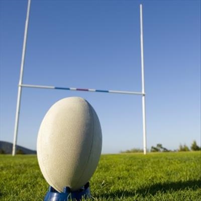 Sharks consolidate but Lions are back