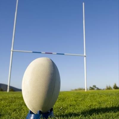 Sharks consolidate but Lions are back