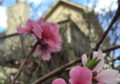 Sell your home in spring