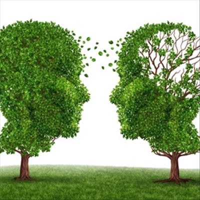 Support the Race to End Alzheimer's