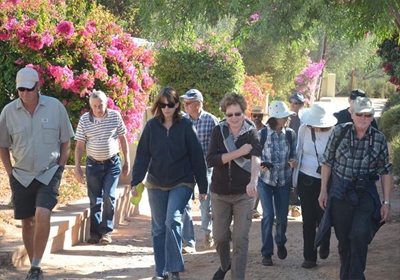 Calitzdorp se eerste vetplantfees