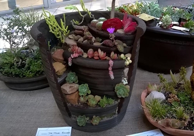 Enter your miniature garden now