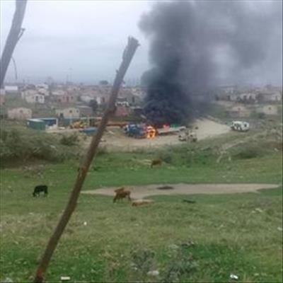 Dog necklaced amid riots