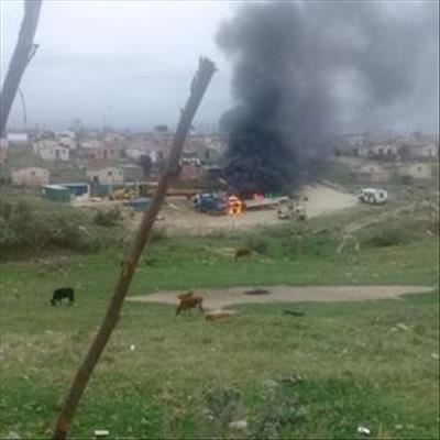 Dog necklaced amid riots
