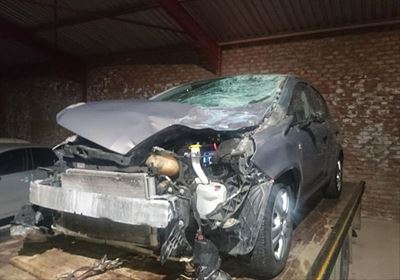 Vehicle collides with stray horses