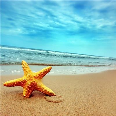 Die strand word die naweek skoongemaak