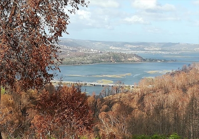 Garden Route farm up for sale