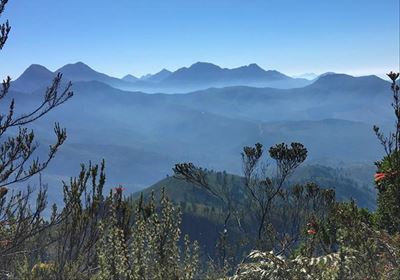 New 4x4 forest experience in Garden Route