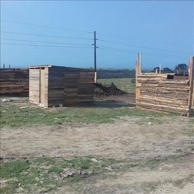 Municipality “does not support” demolitions