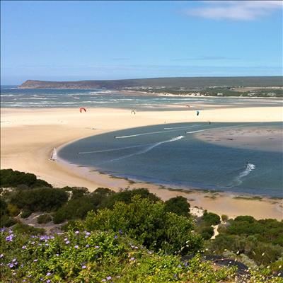 Join to clean-up the coast