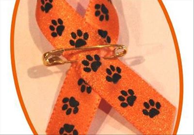 Furry Friday: Support the SPCA