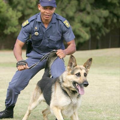 Plett crime fighters on the ball