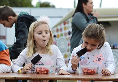 Fun for kids at Strawberry Festival