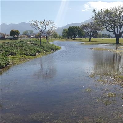 Dam level over 50%, restrictions remain