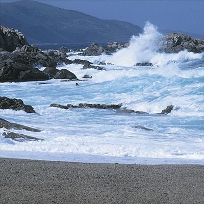 Spring tide warning