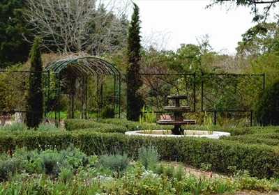 George Open Gardens