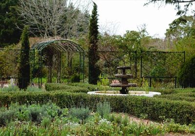 George Open Gardens