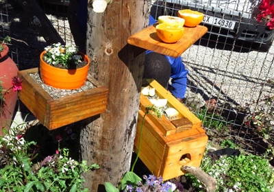 Knysna gets 1st bird and insect hotel
