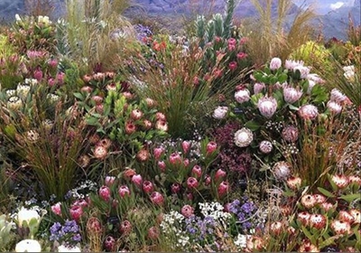 Bargain plants and barks in park