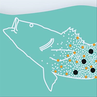 Become informed about microplastics