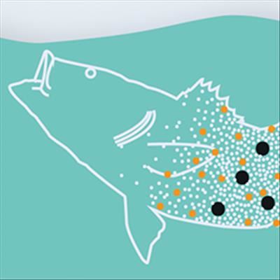 Become informed about microplastics