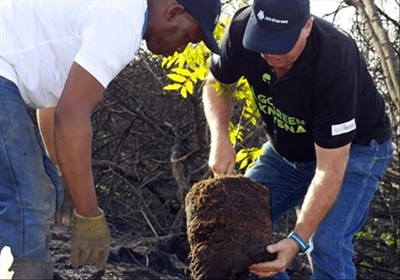 AfriForum helps Knysna Go Green