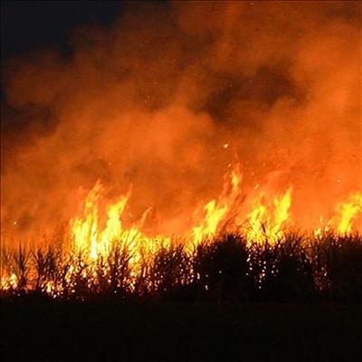 Fire in Pass under control
