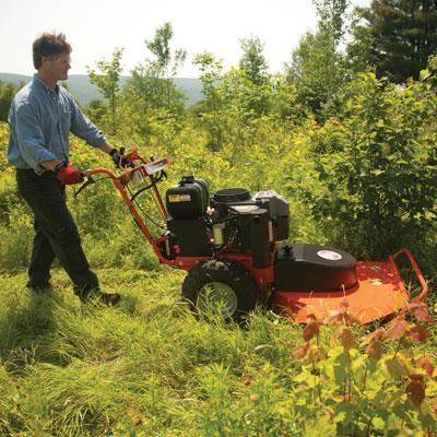 Joint initiative to clear plots in Wilderness