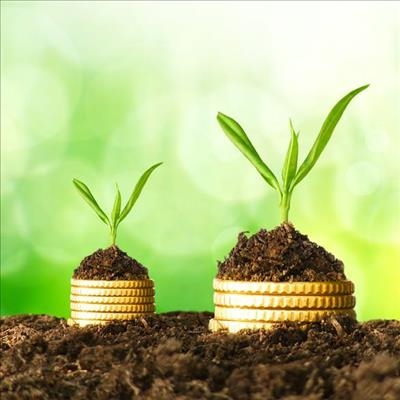 Building wealth through entrepreneurship