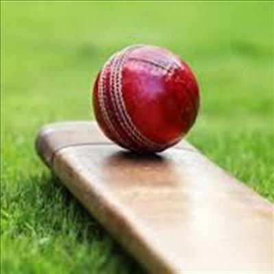 Mosehle, bowlers put Gauteng in semis