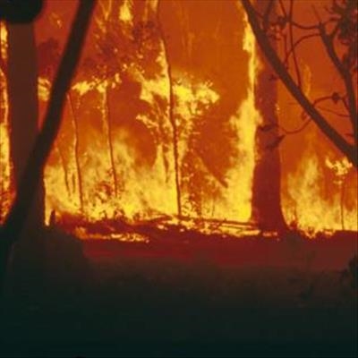 Los Angeles wildfires: City battles 'largest fire in history'