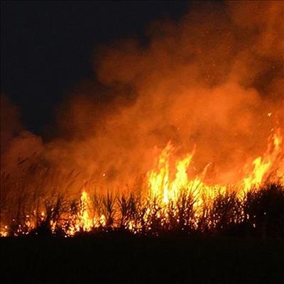 Beheerde brand in damopvangsgebied