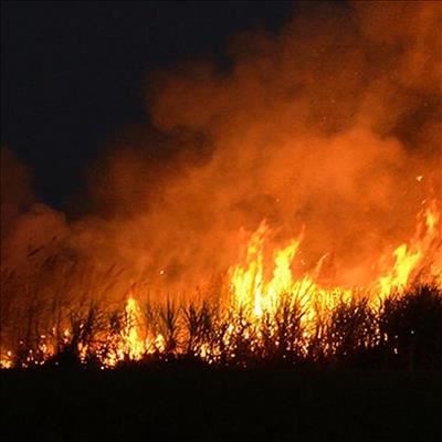 Beheerde brand in damopvangsgebied