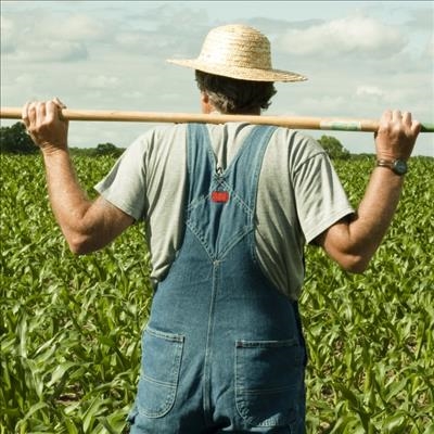 ‘Farm debt shows farmers investing in their businesses’