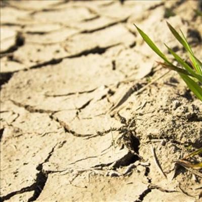 R40-million brings relief to agriculture