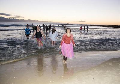 Strange creatures descend Plett